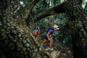 BIB: 
                            <button type="button" onclick="openModal(25391923)" class="btn btn-primary btn-sm float-right btn-popup" data-toggle="modal" data-target=".modal-high-quality">
                        <i class="fas fa-shopping-cart"></i> Add to Cart
                    </button>
                                            <button type="button" onclick="isThisMe(25391923, true)" class="btn btn-success btn-sm float-right btn-popup btn-isme hidden" data-toggle="tooltip" data-placement="bottom" title="นี่คือรูปของคุณใช่ไหม คลิกที่นี่เพื่อเอาเข้าอัลบั้ม">
                        <i class="fas fa-plus"></i> Add to album
                    </button>
                    <button type="button" onclick="isThisMe(25391923, false)" class="btn btn-warning btn-sm float-right btn-popup btn-isnotme hidden">
                        <i class="fas fa-ban"></i> Remove from album
                    </button>